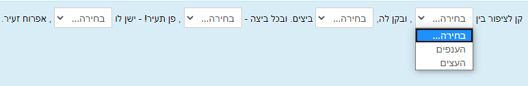 תצורת השאלה לסטודנט