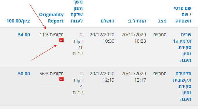דוח פלגריזם