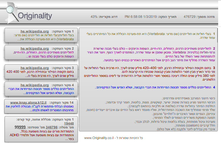 הדוח שמתקבל